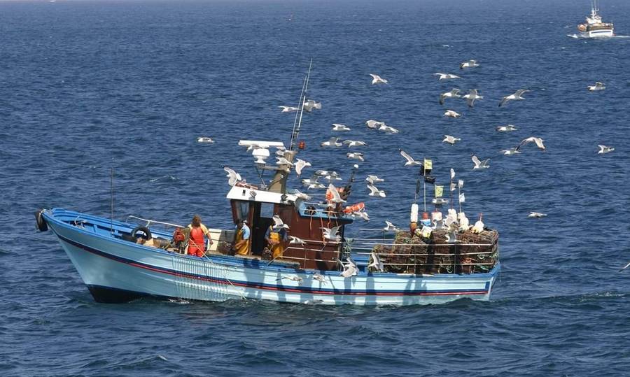 Χρηματική αποζημίωση των φορέων εκμετάλλευσης του τομέα αλιείας και της υδατοκαλλιέργειας για το διαφυγόν εισόδημά τους και για το πρόσθετο κόστος λόγω της διατάραξης της αγοράς από τον επιθετικό πόλεμο της Ρωσίας κατά της Ουκρανίας