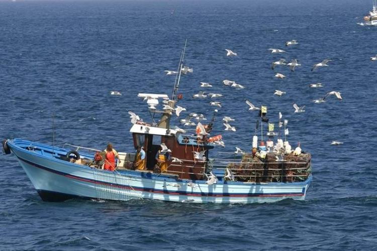 Χρηματική αποζημίωση των φορέων εκμετάλλευσης του τομέα αλιείας και της υδατοκαλλιέργειας για το διαφυγόν εισόδημά τους και για το πρόσθετο κόστος λόγω της διατάραξης της αγοράς από τον επιθετικό πόλεμο της Ρωσίας κατά της Ουκρανίας